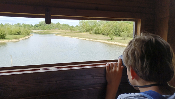 Découverte de la réserve naturelle régionale de Saint-Cyr